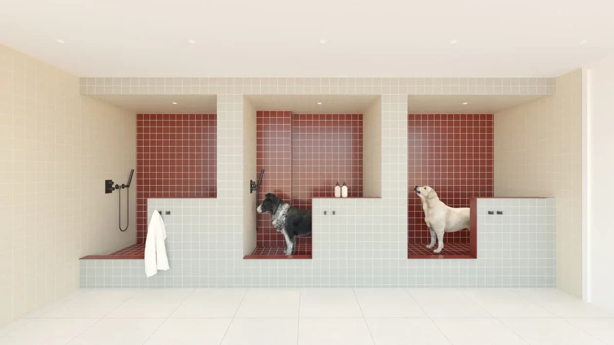 953 Dean Street #326, Brooklyn, NY 11238 1