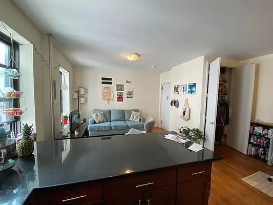 1580 President Street #14, Brooklyn, NY 11213 apartment_living_room 1