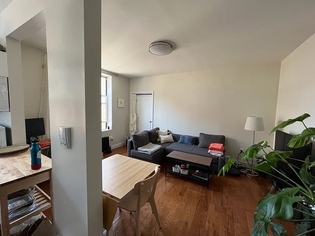 201 West 115 Street #5-G, Manhattan, NY 10026 apartment_living_room 1