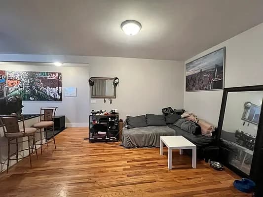 1588 President Street #6, Brooklyn, NY 11213 apartment_living_room 1