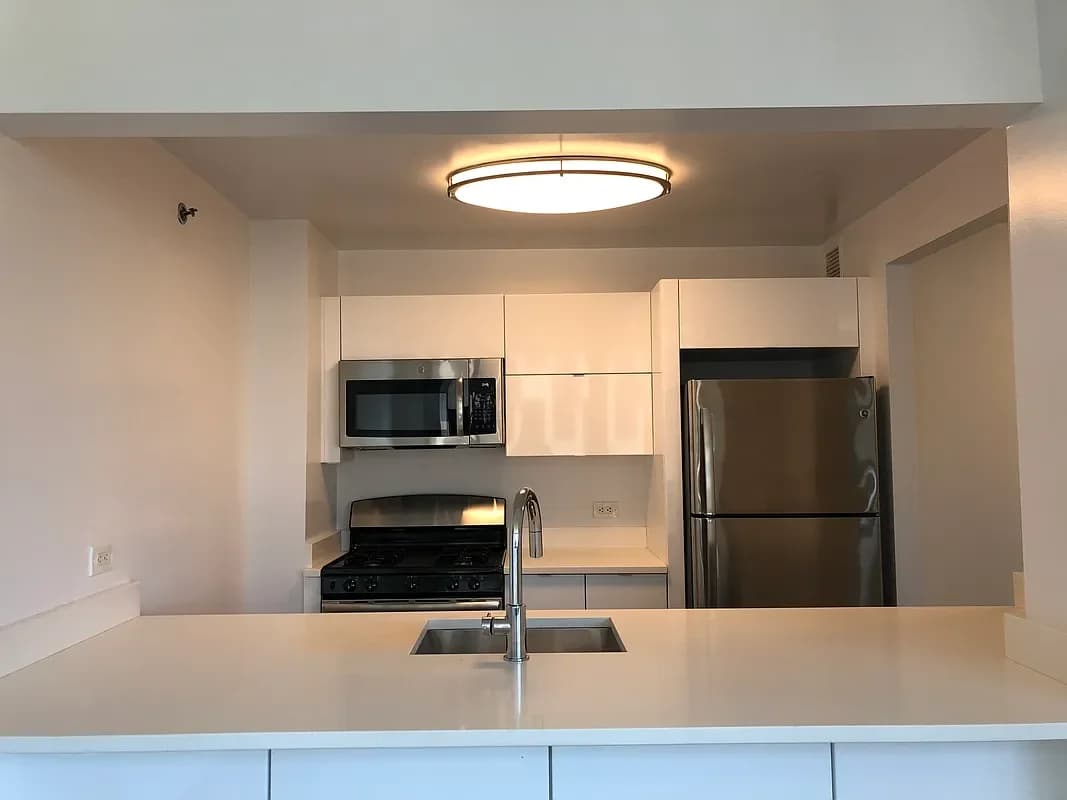 111 Worth Street #15A, Manhattan, NY 10013 apartment_kitchen 1