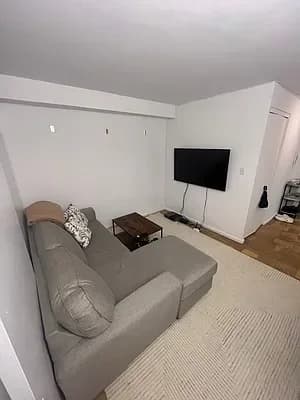 330 East 46 Street #12S, Manhattan, NY 10017 apartment_living_room 1