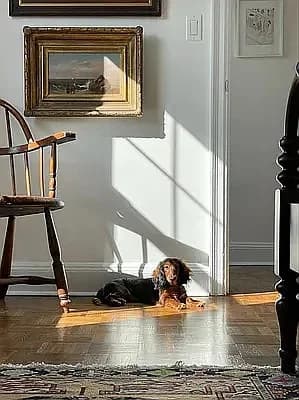 150 Remsen Street #24, Brooklyn, NY 11201 1