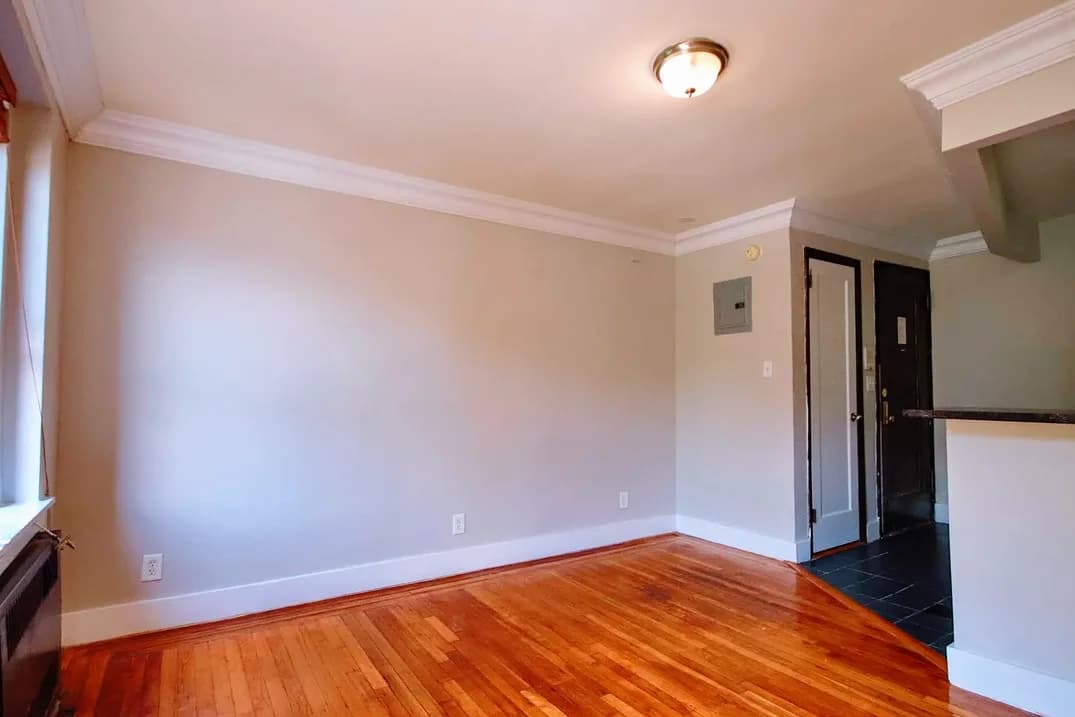 128 St Marks Place #3B, Manhattan, NY 10009 apartment_living_room 1