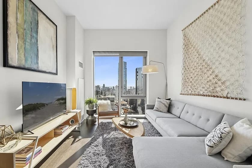 81 Fleet Place #11S, Brooklyn, NY 11201 apartment_living_room 1