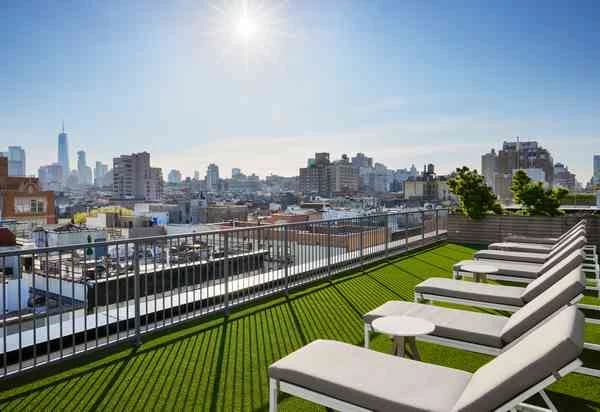 433 E 13 St #4BN, Manhattan, NY 10009 amenity_roof_deck 1