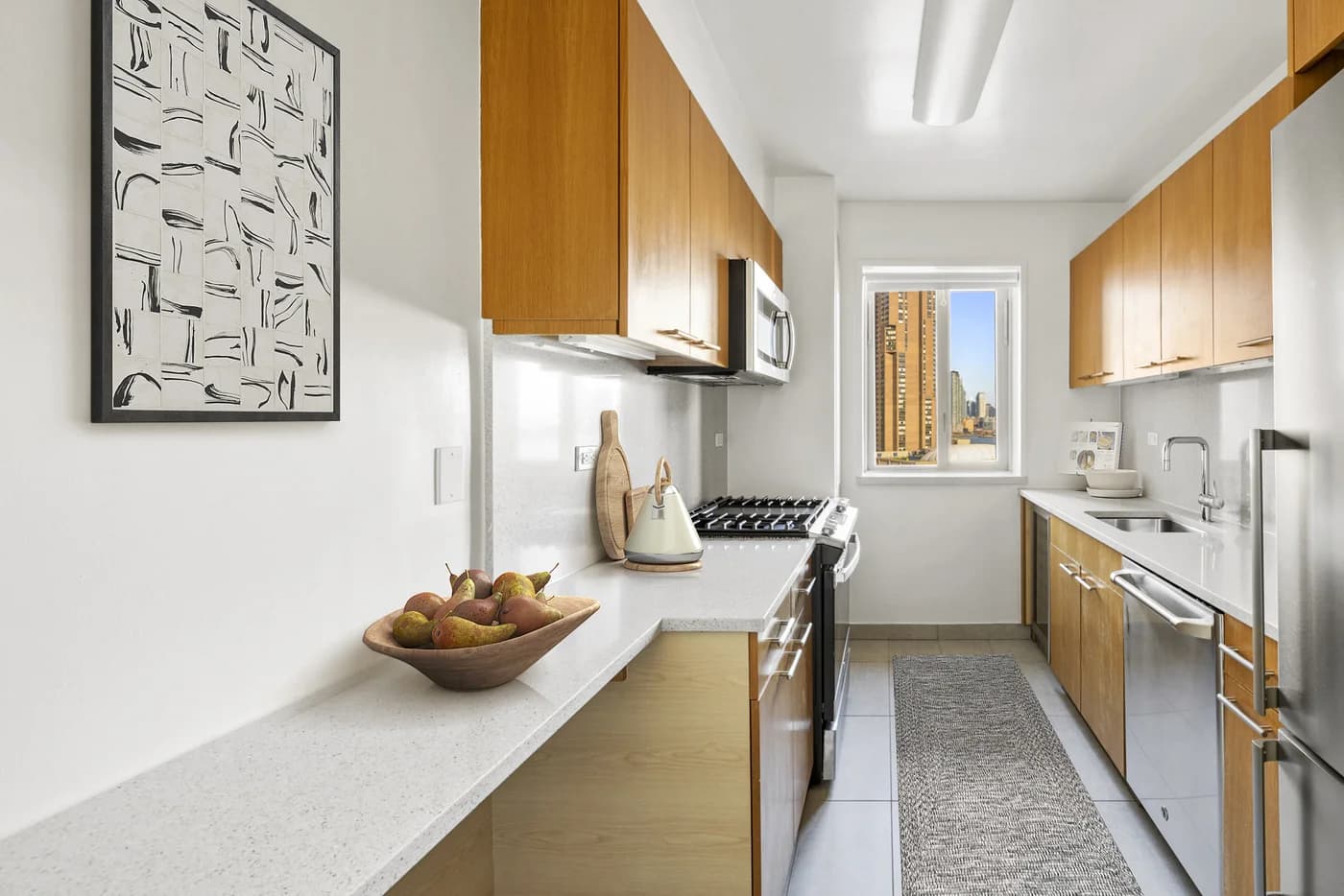 Complex: StuyTown 649 East 14 Street #03-D, Manhattan, NY 10009 1