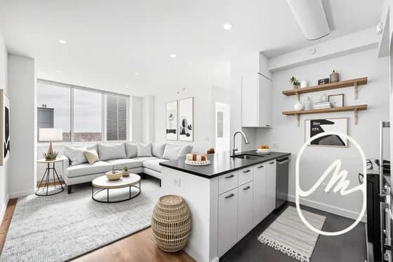 80 Dekalb Avenue #29N, Brooklyn, NY 11201