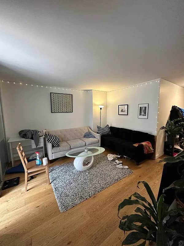 201 East 36 Street #2E, Manhattan, NY 10016 apartment_living_room 1