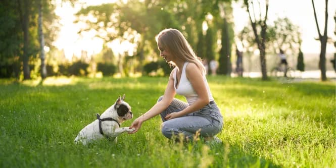 88-36 139 Street #3J, Queens, NY 11435 1