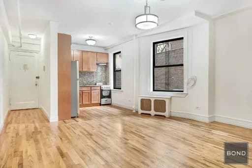 245 West 51 Street #508, Manhattan, NY 10019