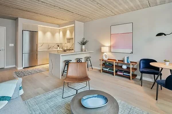 175 Spencer Street #3-G, Brooklyn, NY 11205 apartment_living_room 1