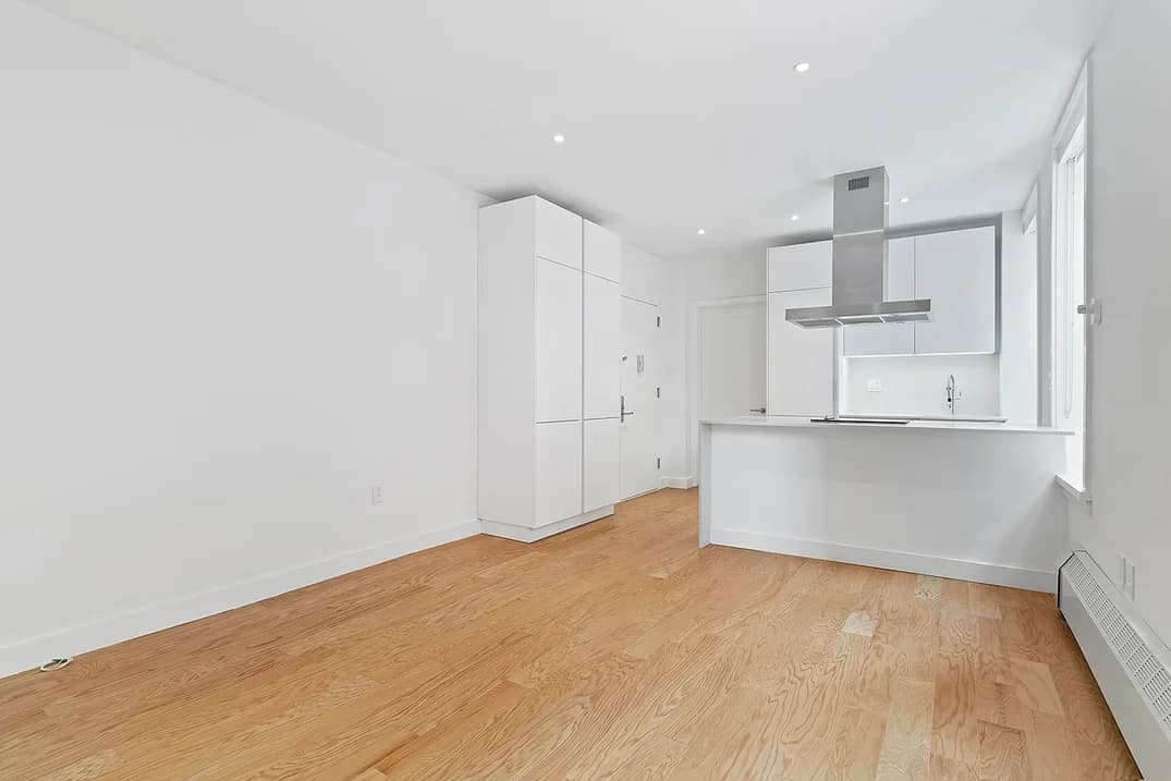 379 Washington Avenue #3A1, Brooklyn, NY 11238 apartment_living_room 1