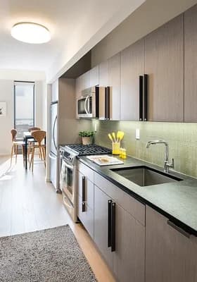 250 Ashland Place #18M, Brooklyn, NY 11217