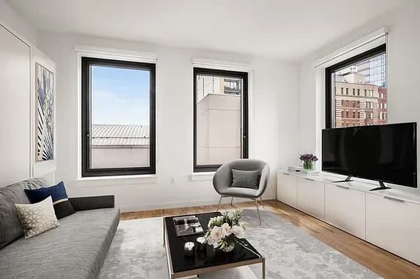 280 Ashland Place #1204, Brooklyn, NY 11217 apartment_living_room 1