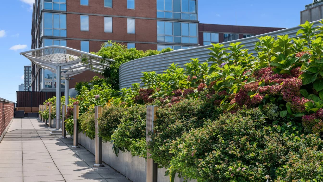 229 Chrystie Street #811-A, Manhattan, NY 10002 1