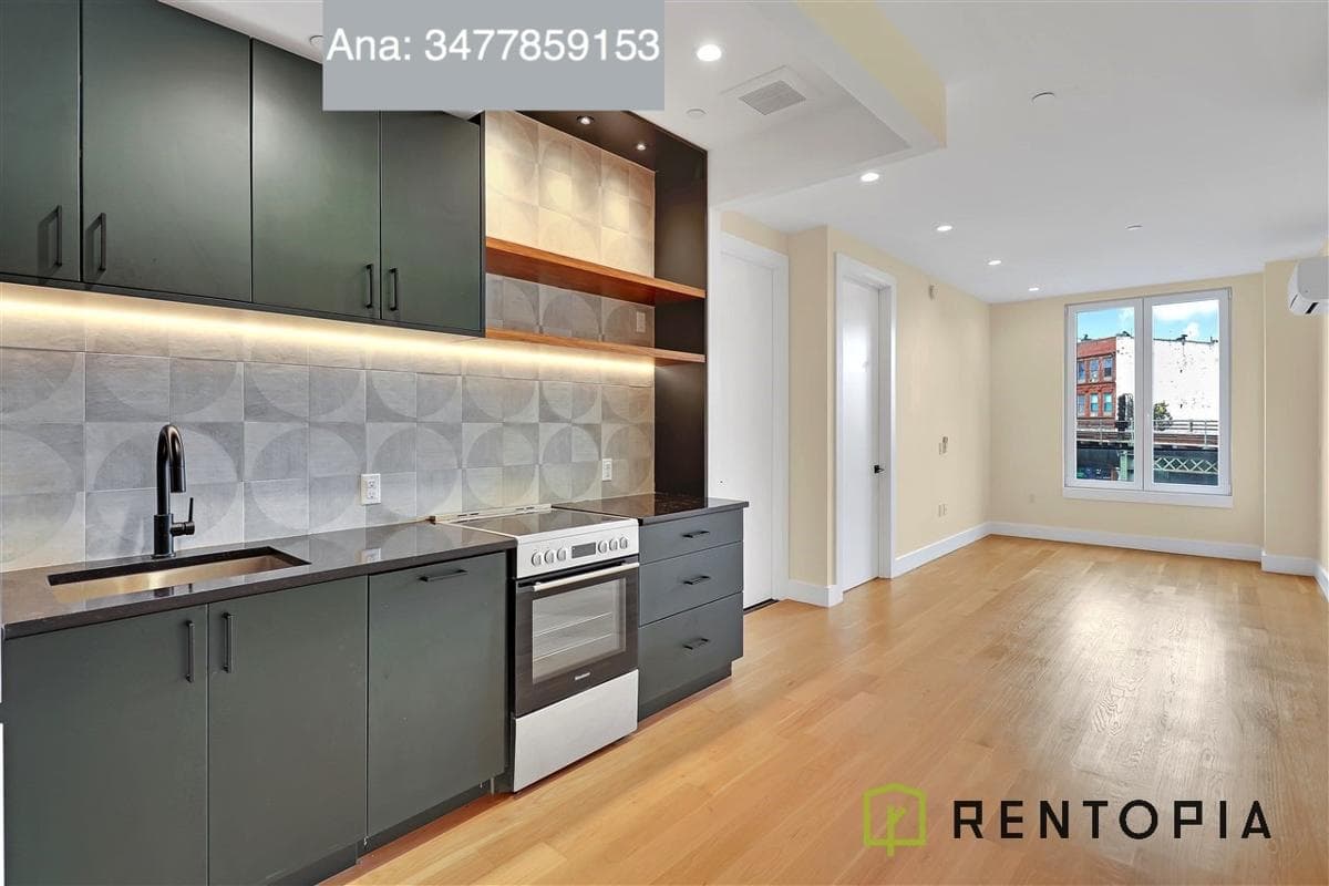 1052 Greene Avenue #4B, Brooklyn, NY 11221 100