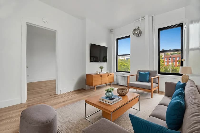 205 Allen St #12, Manhattan, NY 10002 apartment_living_room 1