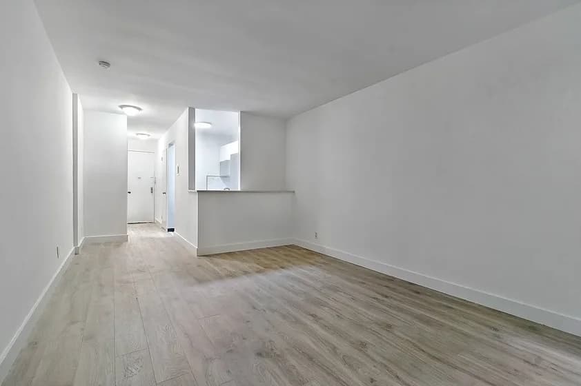 232 East 74 Street #1A, Manhattan, NY 10021 apartment_living_room 1