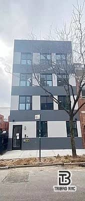 64 Stagg Street