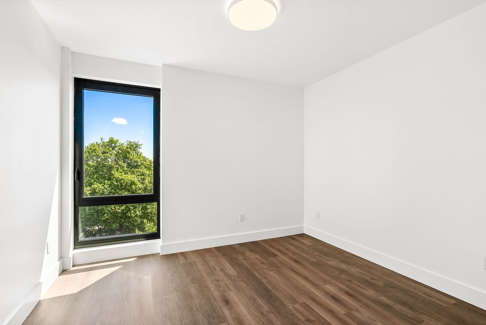 2339 Nostrand Avenue #2F, Brooklyn, NY 11210