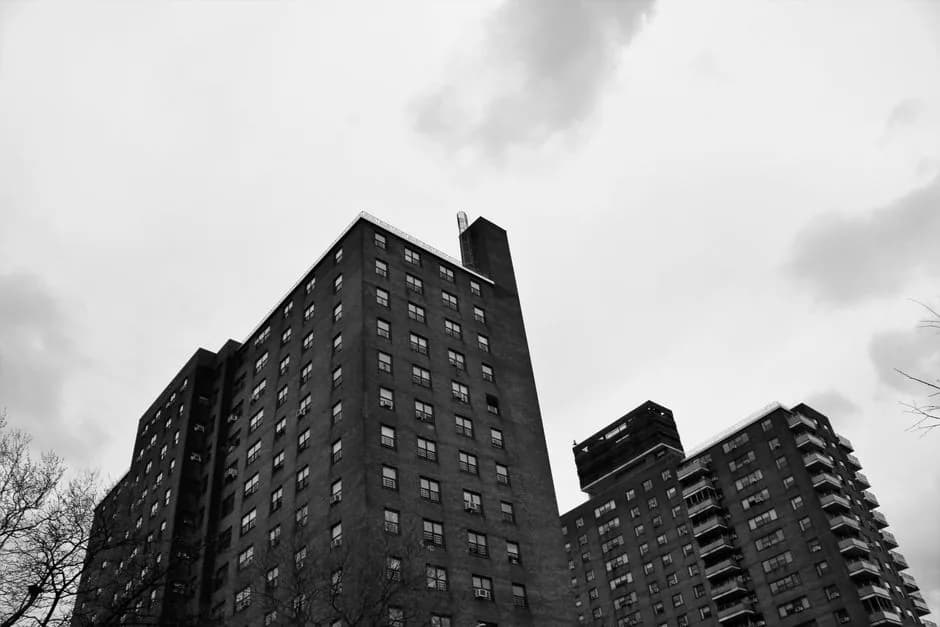 New to Crown Heights? A renter's starter guide — Types of buildings and housing stock