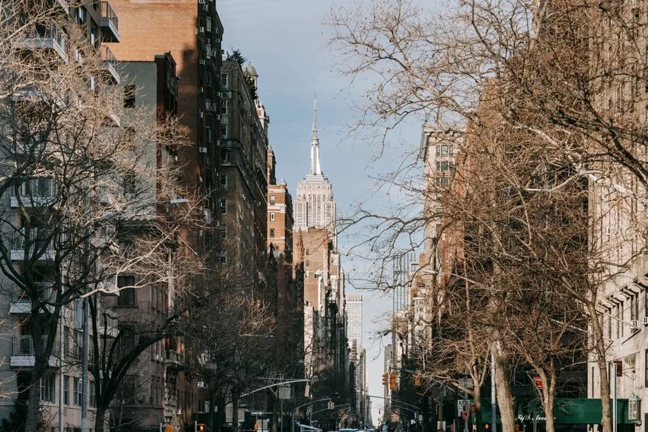 Battery Park City vs. Financial District: rent, buildings, and what to expect in each — What each is like to live in