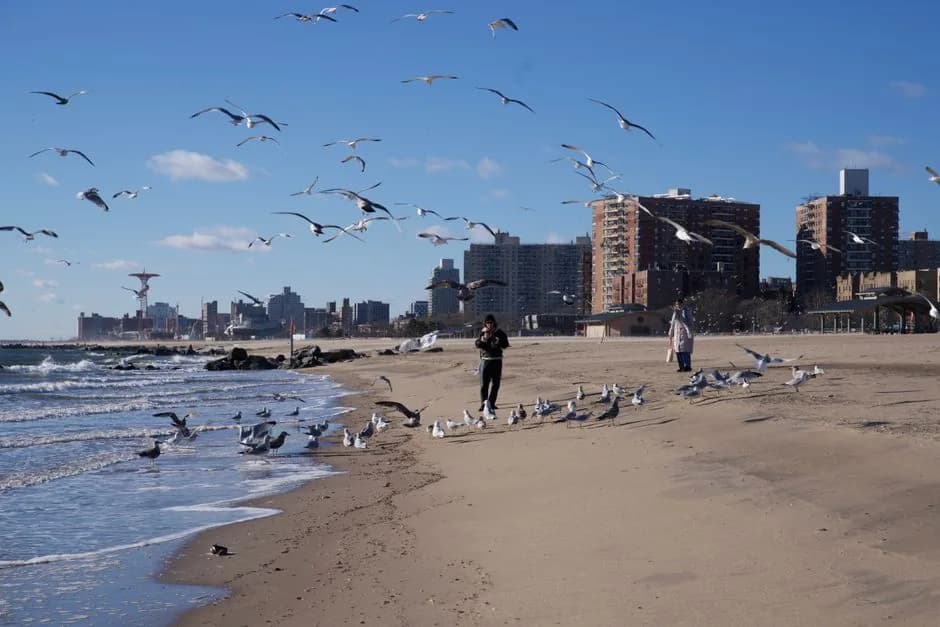 Brighton Beach vs. Sheepshead Bay: where should you rent?