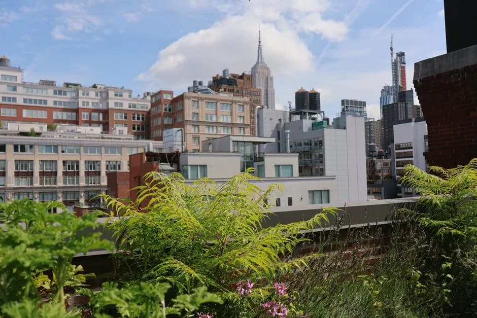 What it's really like to rent in Tribeca — Types of buildings and housing stock