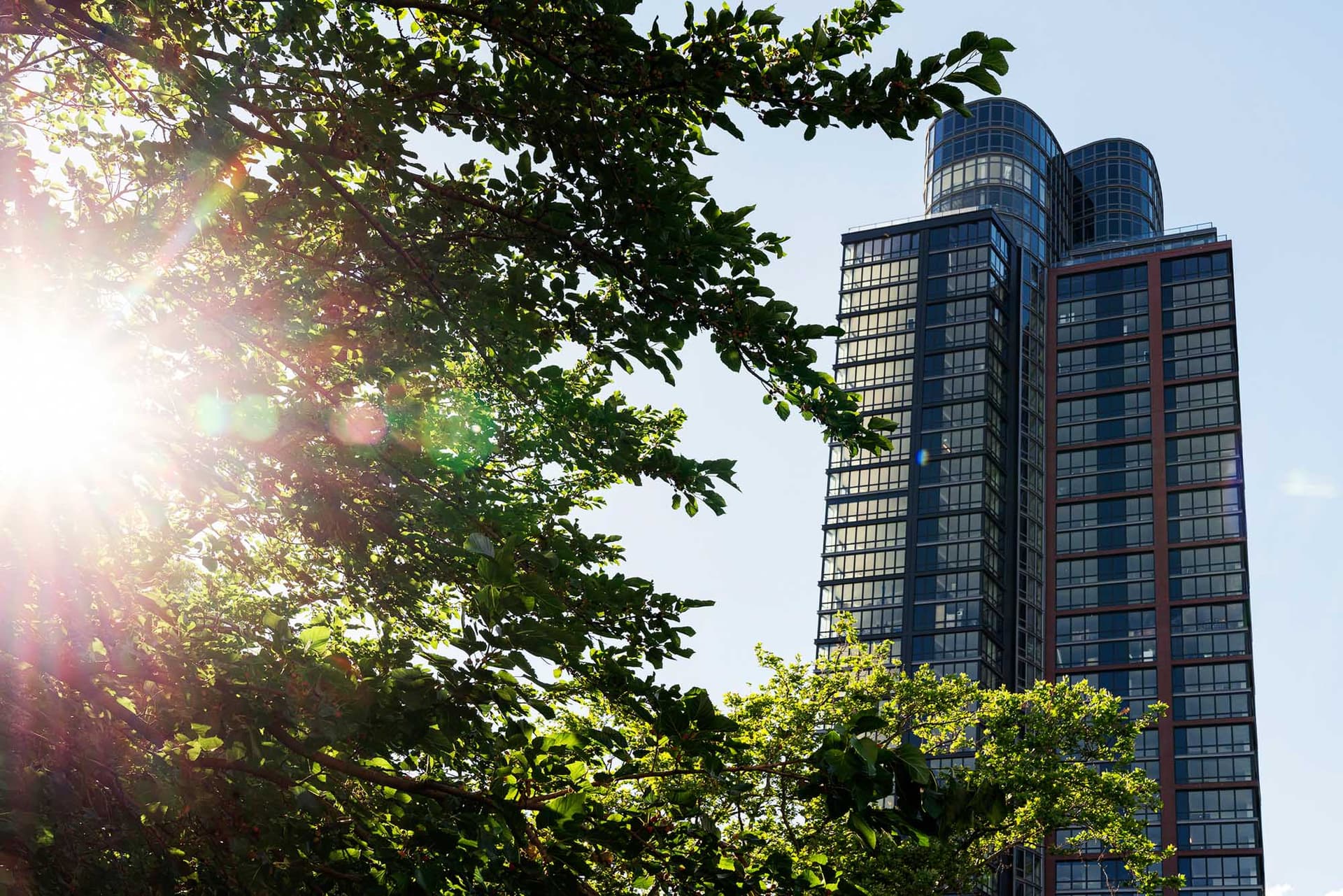 2 Blue Slip #0-28E, Brooklyn, NY 11222 1